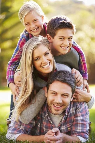 familie în natură, frumoși și cu zâmbete fără carii datorită sigilării dentare